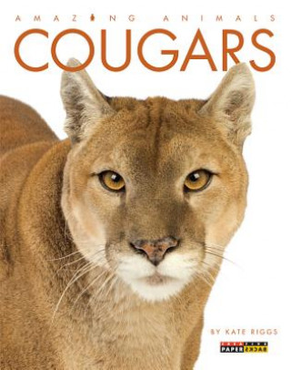 Kniha Cougars Kate Riggs