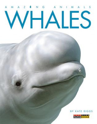 Knjiga Whales Kate Riggs