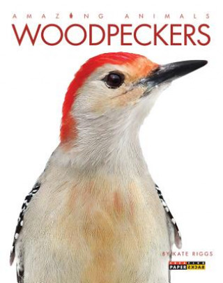 Könyv Woodpeckers Kate Riggs