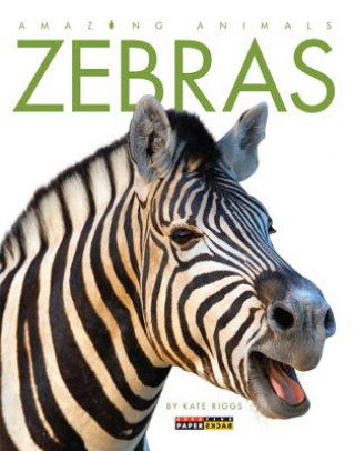 Kniha Zebras Kate Riggs