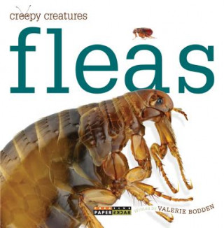 Knjiga Fleas Valerie Bodden