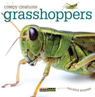Carte Grasshoppers Valerie Bodden