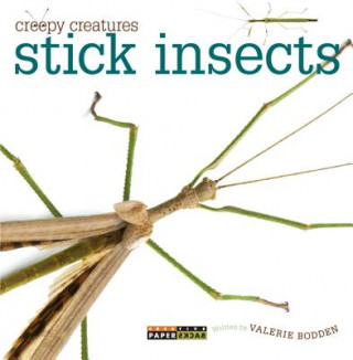 Carte Stick Insects Valerie Bodden