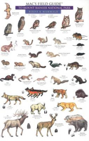 Kniha Mammals and Birds Craig MacGowan