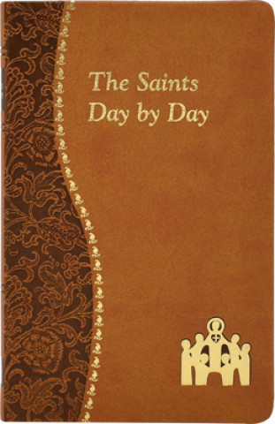 Book The Saints Day by Day Marcy Alborghetti