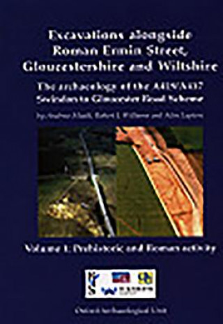 Könyv Excavations Alongside Roman Ermin Street, Gloucestershire and Wiltshire Alan Lupton