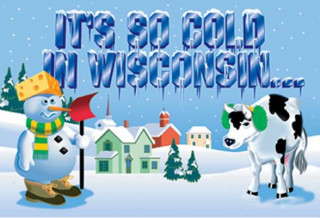 Książka It's So Cold in Wisconsin Bonnie Stewart