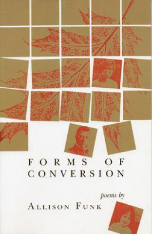 Könyv Forms of Conversion Allison Funk