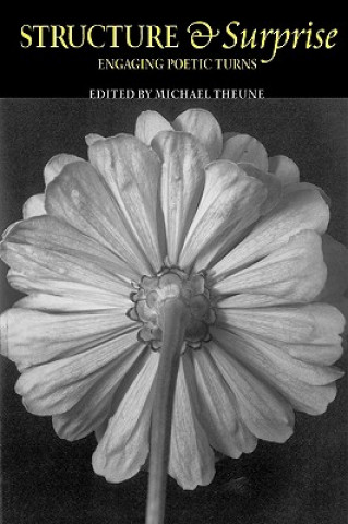 Kniha Structure & Surprise Michael Theune