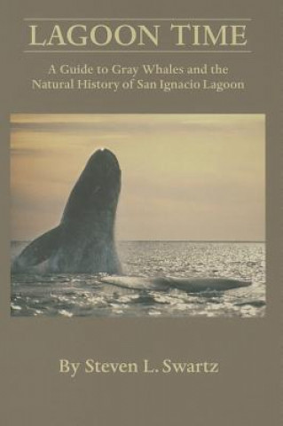 Książka Lagoon Time: A Guide to Grey Whales and the Natural History of San Ignacio Lagoon Stephen L. Swartz