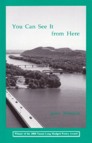 Book You Can See It from Here Jerry Wemple