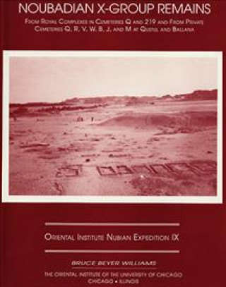 Könyv Excavations Between Abu Simbel and the Sudan Frontier, Part 9 Bruce B. Williams