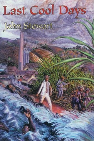 Kniha Last Cool Days John Stewart