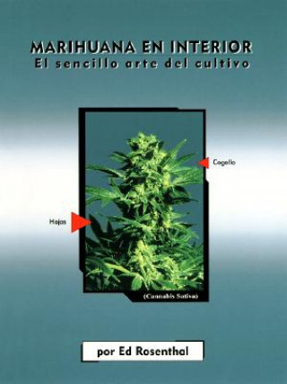 Książka Marihuana En Interior: El Sencillo Arte del Cultivo: Easy Marijuana Gardening, Spanish-Language Edition = Easy Marijuana Gardening Ed Rosenthal