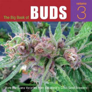Kniha The Big Book of Buds, Volume 3: More Marijuana Varieties from the World's Great Seed Breeders Ed Rosenthal