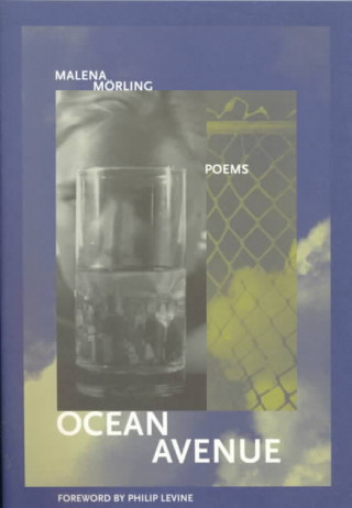 Buch Ocean Avenue Malena Morling