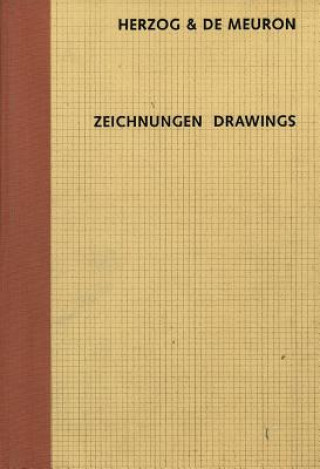 Könyv Herzog & De Meuron: Drawings Theodora Vischer