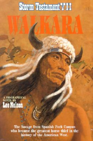 Knjiga Walkara Dan Storm