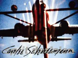 Buch Split Decision Carolee Schneemann