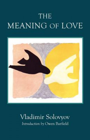 Livre The Meaning of Love Vladimir Solovyov