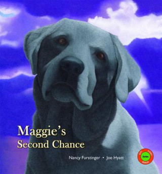 Kniha Maggie's Second Chance Nancy Furstinger