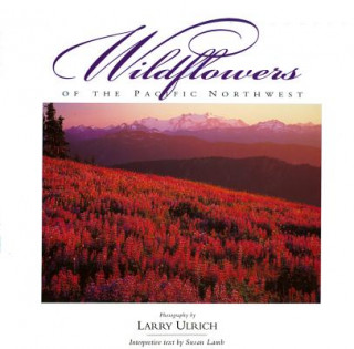 Książka Wildflowers of the Pacific Northwest Susan Lamb