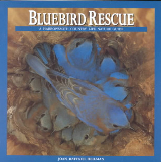 Knjiga Bluebird Rescue: Country Life Nature Guide Joan Rattner Heilman