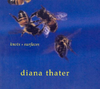 Kniha Diana Thater Diana Thater