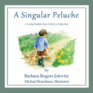 Buch A Singular Peluche Barbara Jolovitz