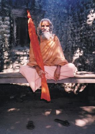 Kniha Dandi Swami Paul Mason