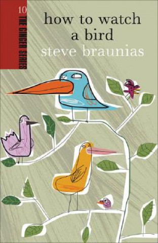 Kniha How to Watch a Bird Steve Braunias