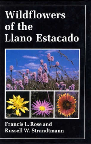 Könyv Wildflowers of the Llano Estacado Frances L. Rose