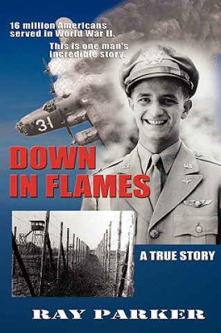 Книга Down in Flames Ray Parker