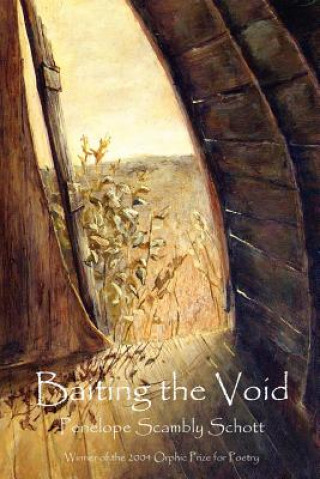 Knjiga Baiting the Void Penelope Scambly Schott