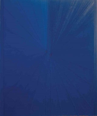 Knjiga Mark Grotjahn: Butterfly Paintings Douglas Fogle