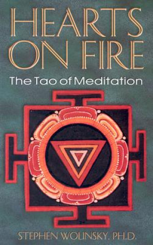 Könyv Hearts on Fire: The Tao of Mediation, the Birth of Quantum Psychology Stephen Wolinsky