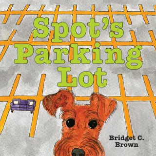 Carte Spot's Parking Lot Bridget C. Brown