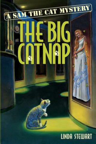Carte The Big Catnap Linda Stewart