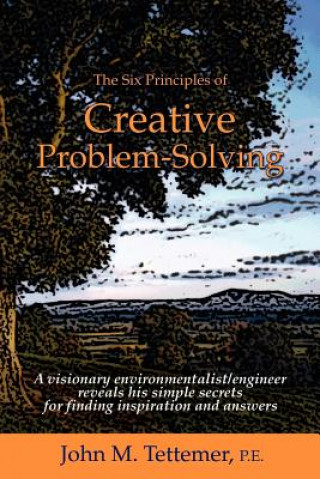 Book The Six Principles of Creative Problem-Solving John M. Tettemer