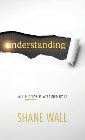 Book Understanding Shane Wall