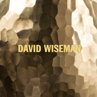 Knjiga David Wiseman Brooke Hodge
