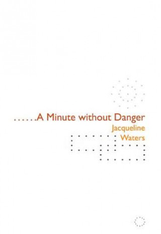Book A Minute Without Danger Jacqueline Waters