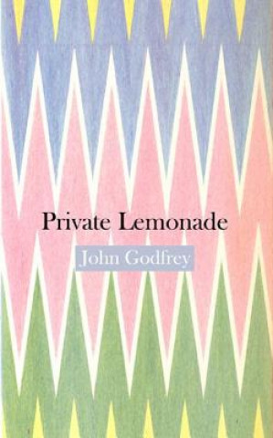 Könyv Private Lemonade John Godfrey