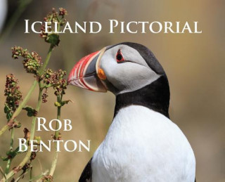 Könyv Iceland Pictorial Rob Benton