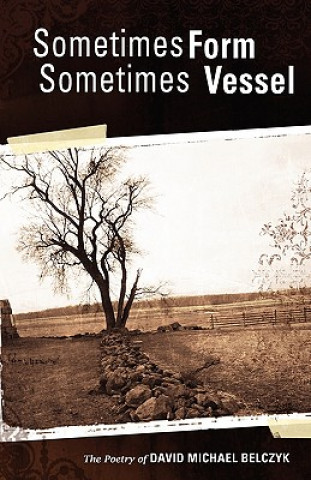 Boek Sometimes Form Sometimes Vessel David Michael Belczyk