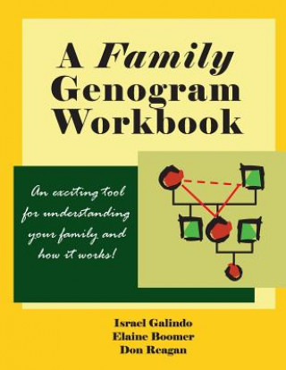 Książka A Family Genogram Workbook Israel Galindo