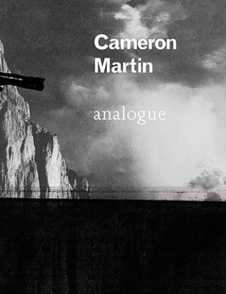 Книга Cameron Martin: Analogue Martha Schwendener