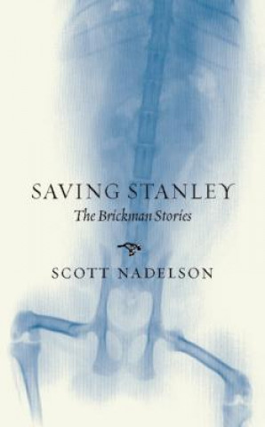 Kniha Saving Stanley: The Brickman Stories Scott Nadelson