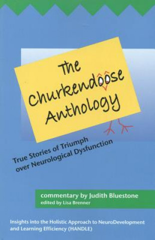 Kniha The Churkendoose Anthology: True Stories of Triumph Over Neurological Dysfunction Judith Bluestone