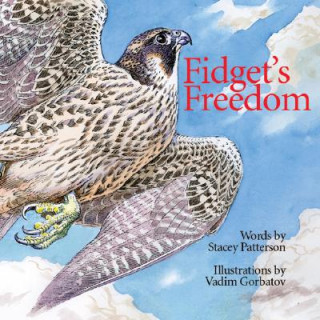 Książka Fidgets Freedom Stacey Patterson